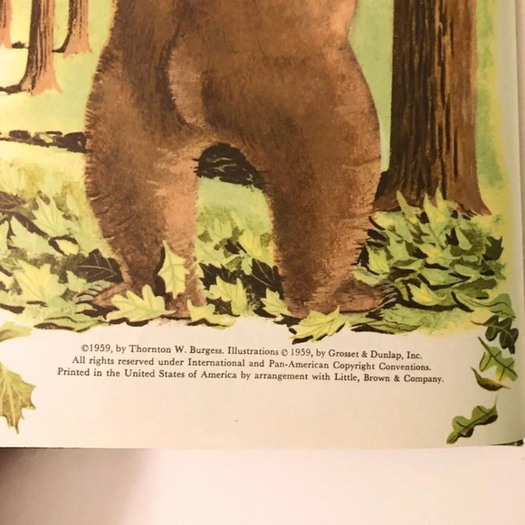 Vintage Double Book Bedtime Stories and  The Pony Engine Dandelion Library - Picture 13 of 16